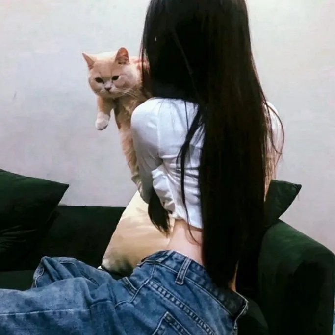 功夫熊猫第一季